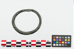 Foto von Bronzeperlarmreif (NHMW-PRAE-025034)